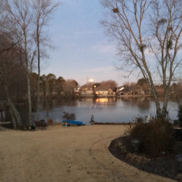 Meet your Posher, Joel - Picture 1 of 1